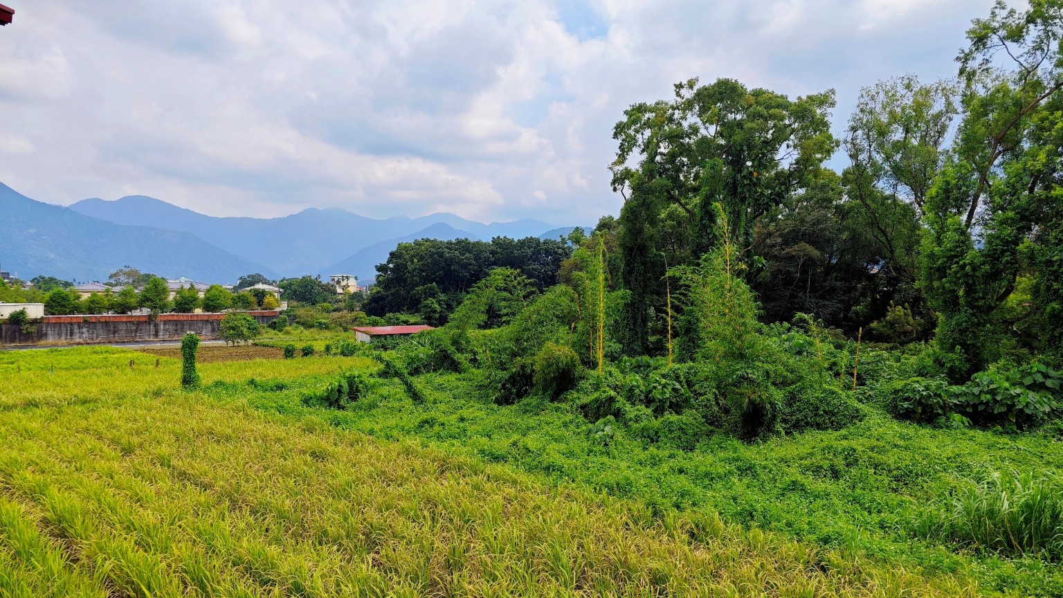 斜角巷埔里民宿露台田野與群山景觀